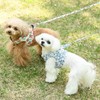 LAURA ASHLEY ローラアシュレイ フラワー ハーネス | 花柄 胴輪 犬具 胴ベルト