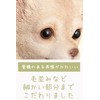 Kishima KH-61245 Gardening Entrance Object Miscellaneous Goods Wall Hook Decoration,