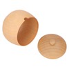 Sour Jujube Wood Condiment Jar Japanese Safe Dustproof Classic Flip
