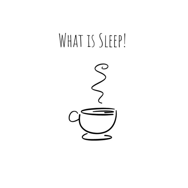 What is Sleep: Coffee Journal: Funny Novelty Gift | Small