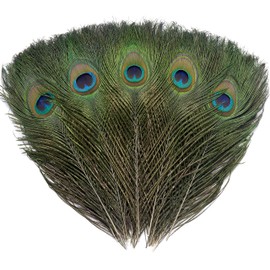 36 PCS Real Natural Peacock Eye Feathers 10-12 inch for DIY Craft, Wedding and Holiday Decorations
