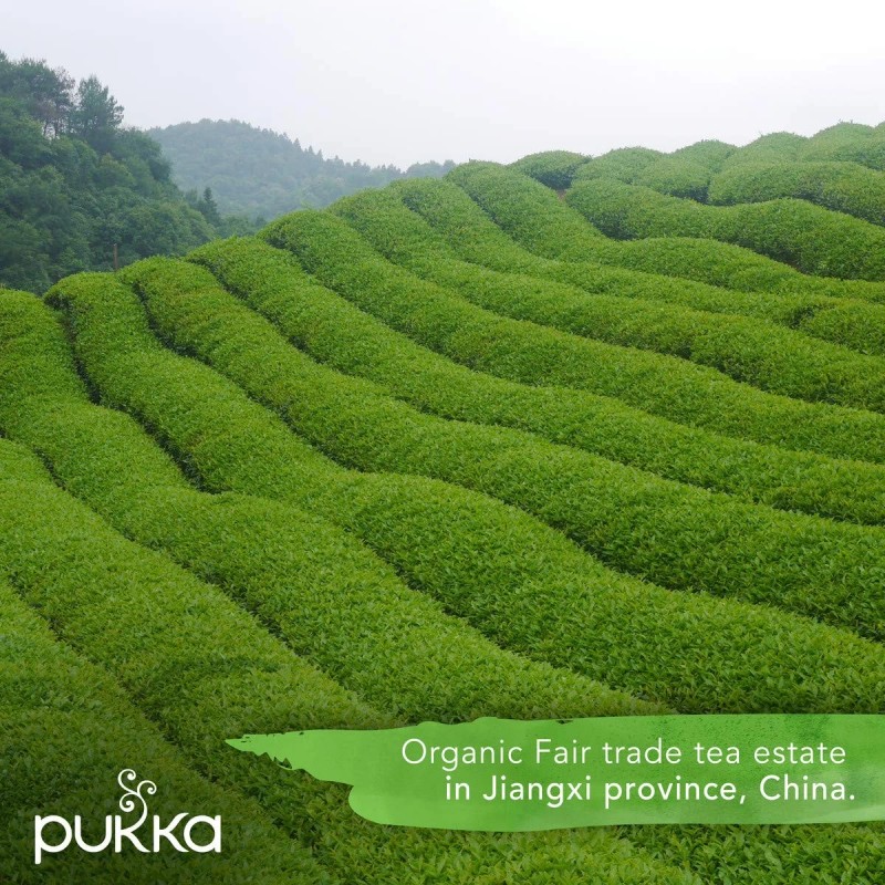 Pukka Organic Supreme Matcha Herbal Tea 20 Bags Decaf Green