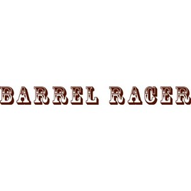 Wall Decal Barrel Racer Cowboy Cowgirl Chaps Rodeo Horse Bull Ster Roper Holiday Gift Decorating Ideas Sticker - Size: 10 Inches X 45 Inches