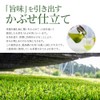 Delicious Japanese Tea Laboratory, Sencha Tea Bag, 0.1 oz (4