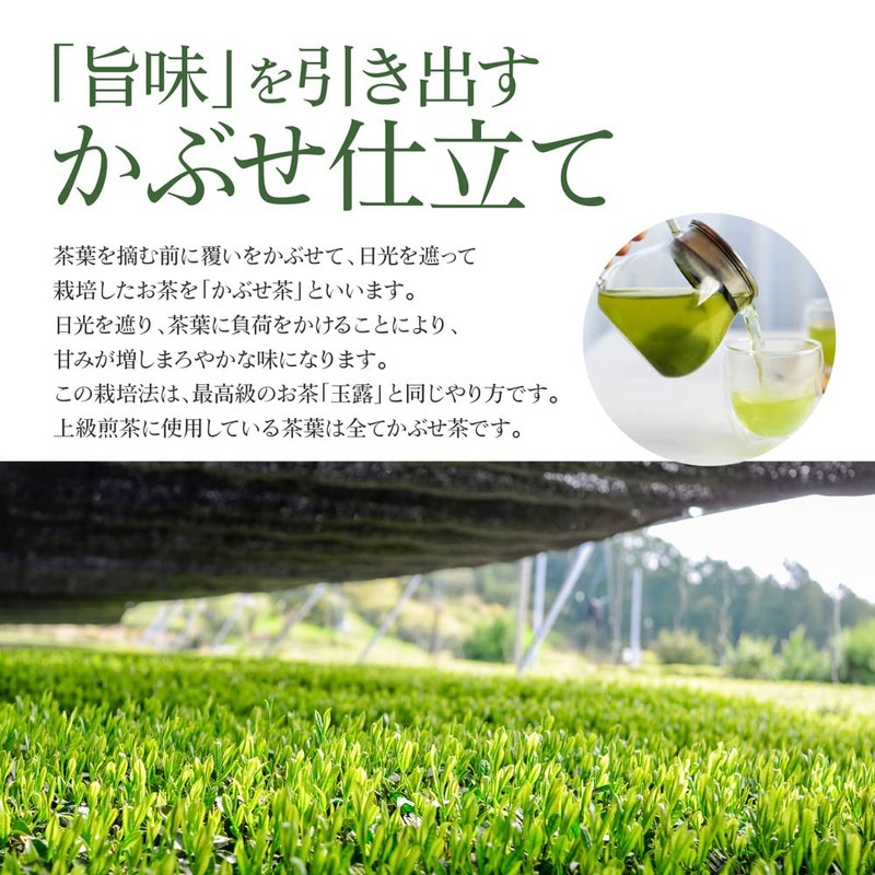 Delicious Japanese Tea Laboratory, Sencha Tea Bag, 0.1 oz (4