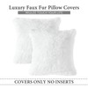 MIULEE Pack of Decoration 2 Luxury Faux Fur Throw Pillow