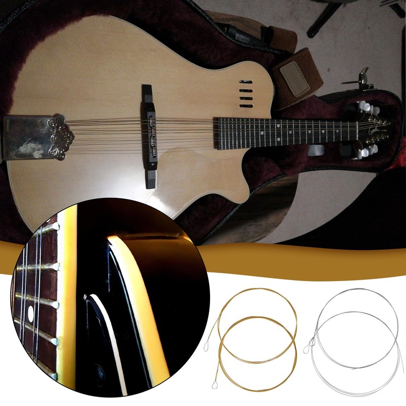 SG Store 2 Sets Mandolin Strings (.010-.034) with Loop End