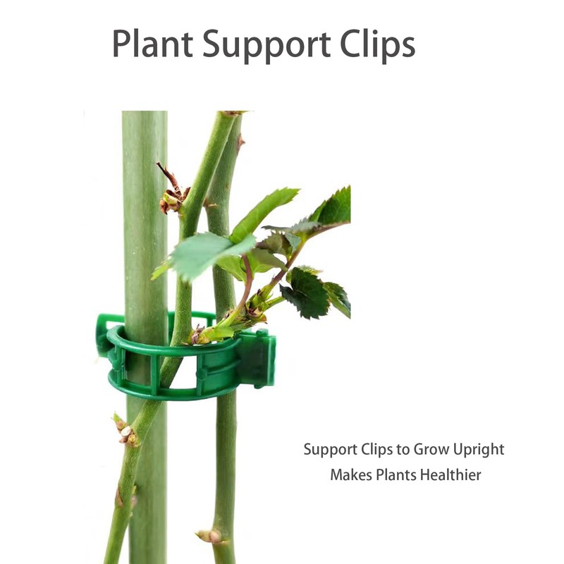 Plant Support Clips for Climbing Plants, Garden, Tomato Vines, Grape