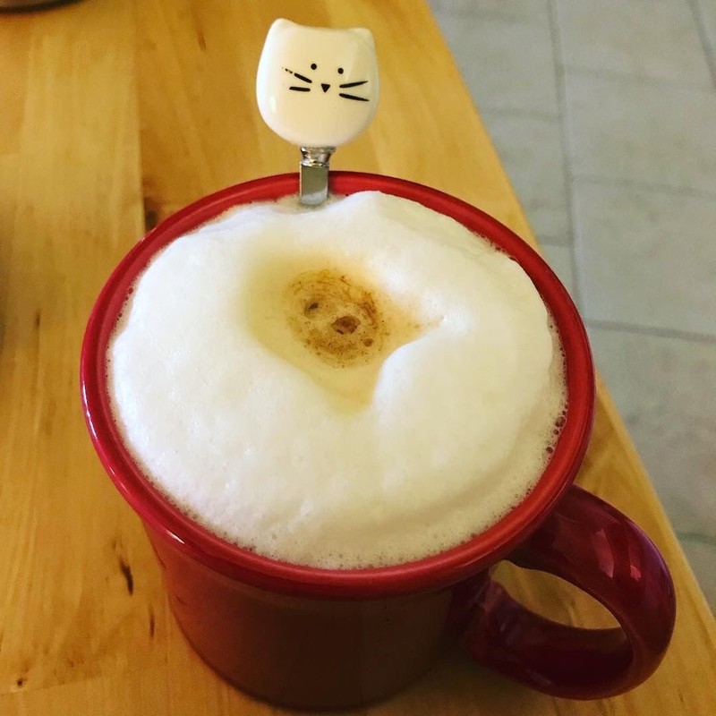 AYOMI Kaffee- bzw. Teelöffel aus Edelstahl mit Katzenköpfen, 4-teilig, feinpoliert