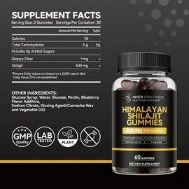 Himalayan Shilajit Gummies for Men & Women | 600mg | Non-GMO, Gluten-Free, Sugar-Free with Fiber | Energy, Immunity & Stamina Support | 60 Count 