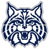 Arizona Wildcats Decal