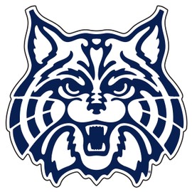 Arizona Wildcats Decal