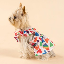 Fitwarm Colorful Heart Dog Dress, Summer Clothes for Small Dogs Girl, Cute Pet Rainbow Outfit, Red, Yellow, Blue, Green, White, XS