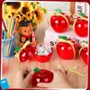 Mimorou 6 Sets Plastic Apple Containers Red Apple Shaped Candy