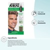 Just For Men Original Formula Light Brown Hair Dye, Targets