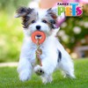 Fancy Pets Juguete para Perro de Caucho Aro con Cuerda