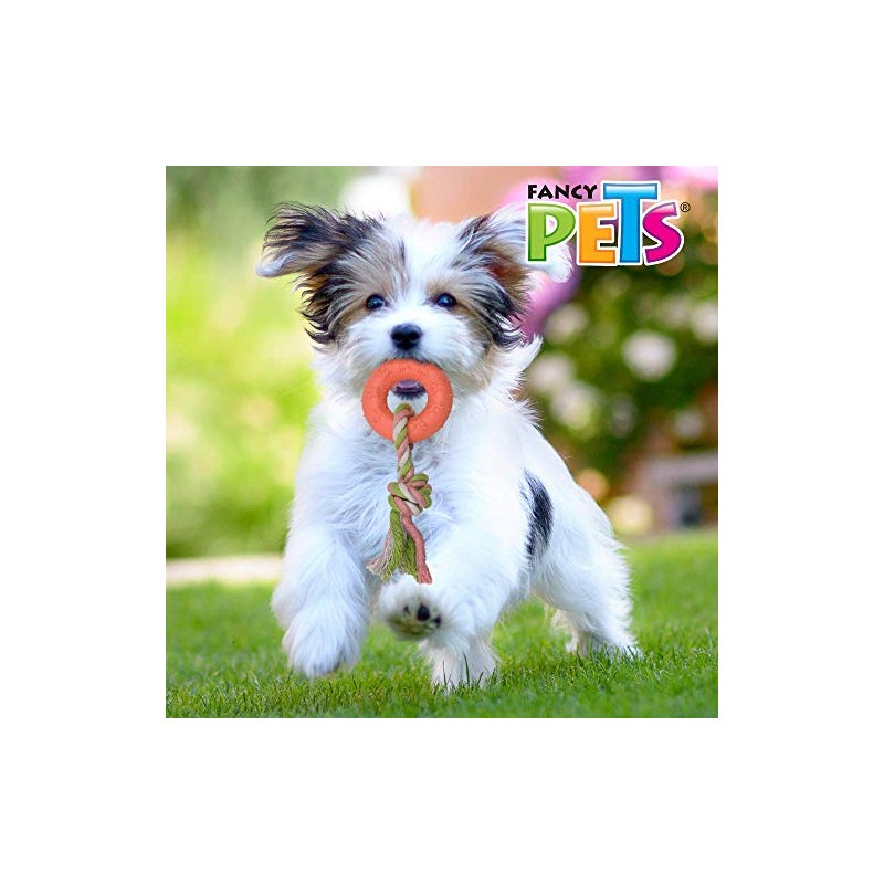 Fancy Pets Juguete para Perro de Caucho Aro con Cuerda
