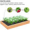 Agfabric Weed Barrier Landscape Fabric 4x6ft with Planting Holes, Hole