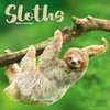 Sloths Calendar 2026 | 12 Month Wall Calendar | Avonside