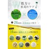 Deer Cream, Dr. Cica + Dr. Deer Plus, The Cream,