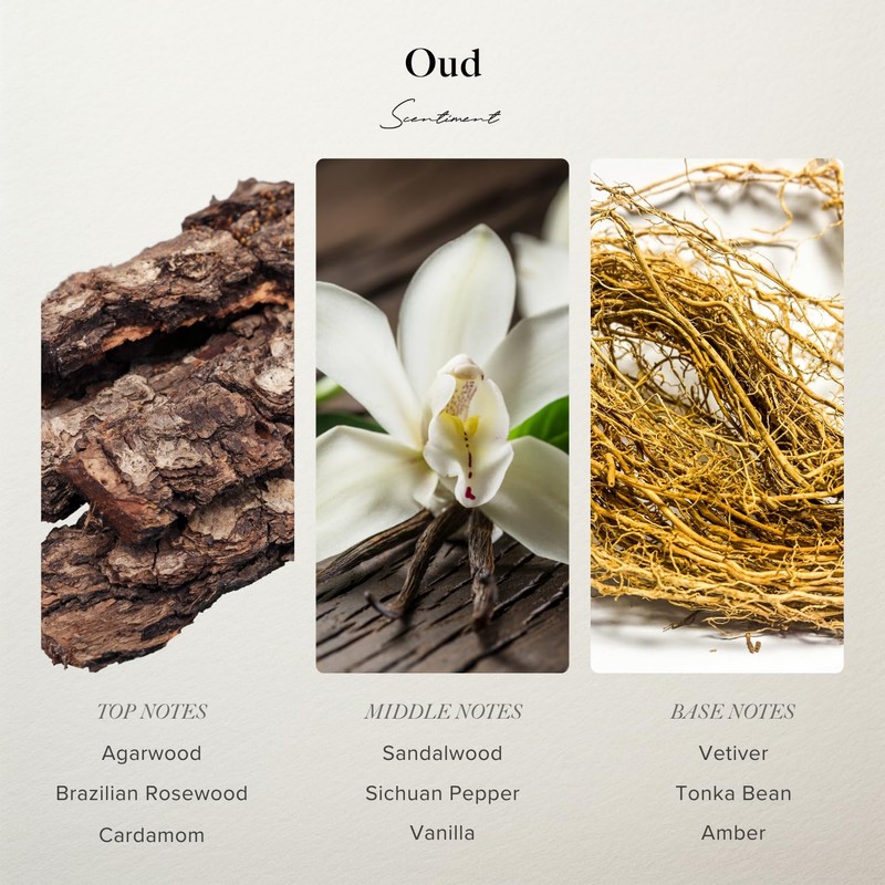 Scentiment - Oud Desginer Inspired Collection Perfume 50ml, 1.7oz