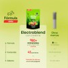 B Life Electrolitos con Creatina con 45 Sobres 5 Sabores