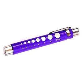 Precise Canada: Pen Light with Pupil Gauge Led Penlight for Doctor Nurse Diagnostic Batteries Free 2ct. Purple