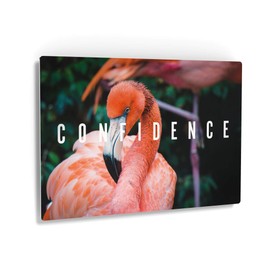 Smile Art Design Confidence Lettering Beautiful Flamingo Nature Motivational Metal Wall Art Inspirational Wall Art Entrepreneur Quote Print Office Living Room Decor Artwork Gift Ready to Hang 8x12