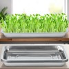 WBCBEC Plant Germination Trays, Stainless Steel Plant Trays Stainless Metal
