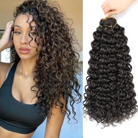 GoGo Curl Crochet Hair 14Inch 6packs Water Wave Crochet Hair GoGo Curly Crotchet Braiding Hair (14 Inch (Pack of 6), 4)