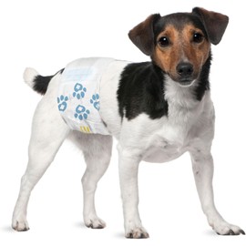 Male Wraps, Disposable Dog Diapers, 1-Tab Small, 72 Count - Snag-Free Fastener, Leak Protection, Wetness Indicator