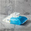 Generic Fresh Scent Flushable Wipes, 5 Packs of 48 Wipes