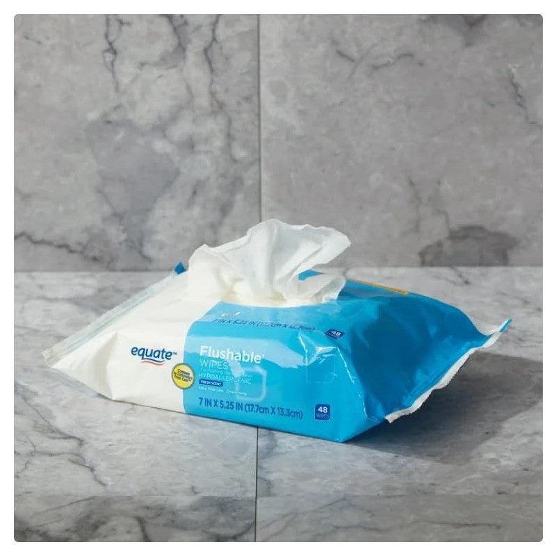 Generic Fresh Scent Flushable Wipes, 5 Packs of 48 Wipes