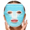 Paquete de hielo facial de Accurate Manufacturing, Paquete de 1,