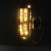 String Lights 3 Meters 30 Light Remote Control Waterproof Rabbit