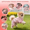 Sueter para Perros Chicos, Ropa Luminosa para Perros, Ropa para