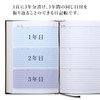 Apica A5 Diary with Dates (Japanese), black