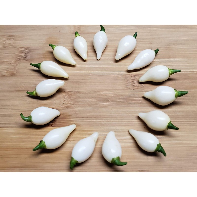 Biquinho White Pepper 10+ Seeds