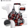 XTrador Dog Harness Walking Aid for Dogs Especially for Problems