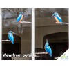 4 x Kingfisher Bird Window Stickers for Glass - Double