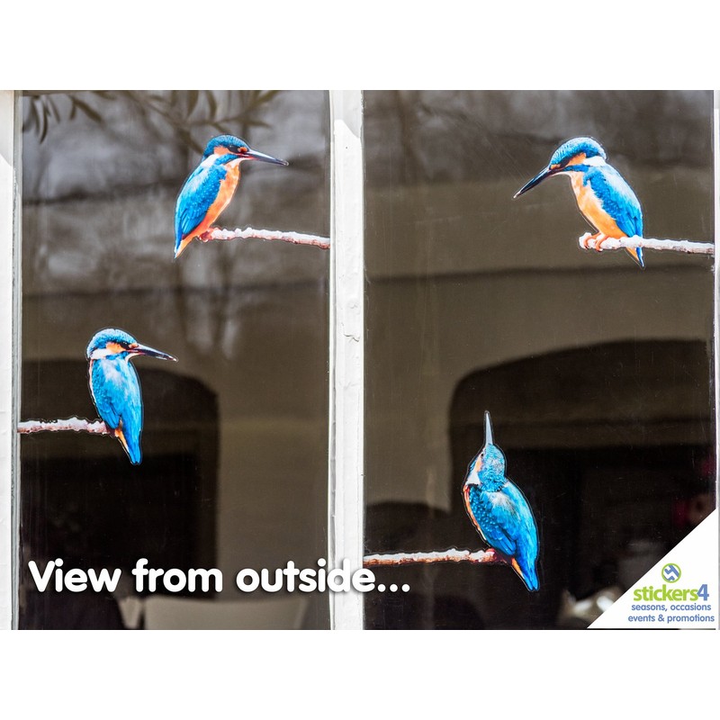 4 x Kingfisher Bird Window Stickers for Glass - Double