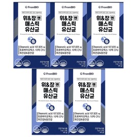 Frombio Stomach Mastic Lactic Acid Bacteria 15 sachets (5) / 프롬바이오 위장엔 매스틱 유산균 15포 5개