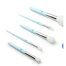 Professional Makeup Brush Set, 5 Piece, Soft White Bristles, Pastel Blue Handles, Chrome Ferrule