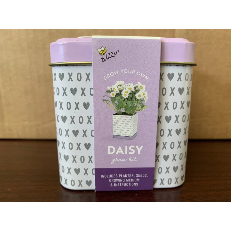 Buzzy Grow Your Own Grow Kit Mini Rose, Basil, &