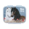 Depesche Miss Melody Dusty Rose 13398 Lunch Box in Light