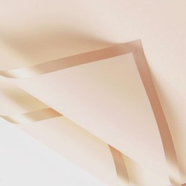 20 Sheets of Decoration Wrapping Paper, Waterproof Florist Packaging Paper, Use for Gift Wrapping, Flowers, Arts and Crafts, Bouquet Paper Wrapping Paper (Champagne)