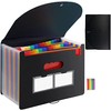 Organizador de Archivos de Acordeón, Carpeta Expansible 25 Compartimentos