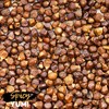 Spicy Yum! Grains of Paradise - Whole Alligator Pepper (Atare,