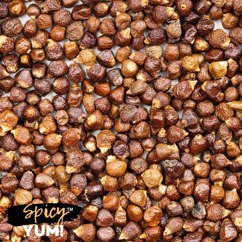 Spicy Yum! Grains of Paradise - Whole Alligator Pepper (Atare,