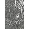 Sizzix 3-D Texture Fades Embossing Folder Woodgrain by Tim Holtz | 666297 | Scrapbooking, Cardmaking, Journalling, One Size